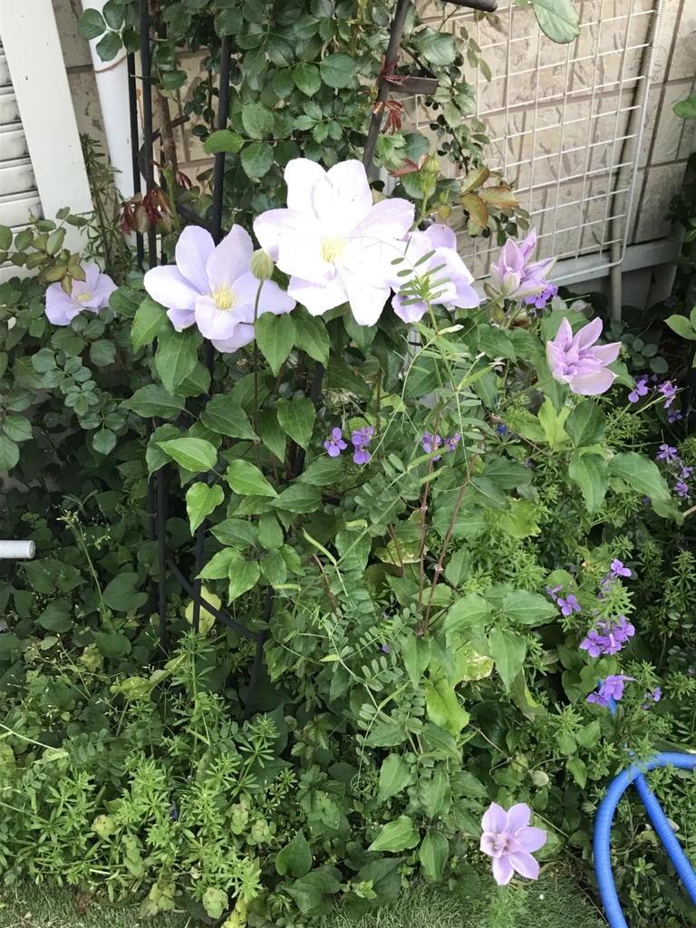 f:id:mymykenshin:20180421060942j:plain