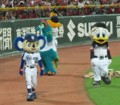 [プロ野球][ロッテ][ドラゴンズ]