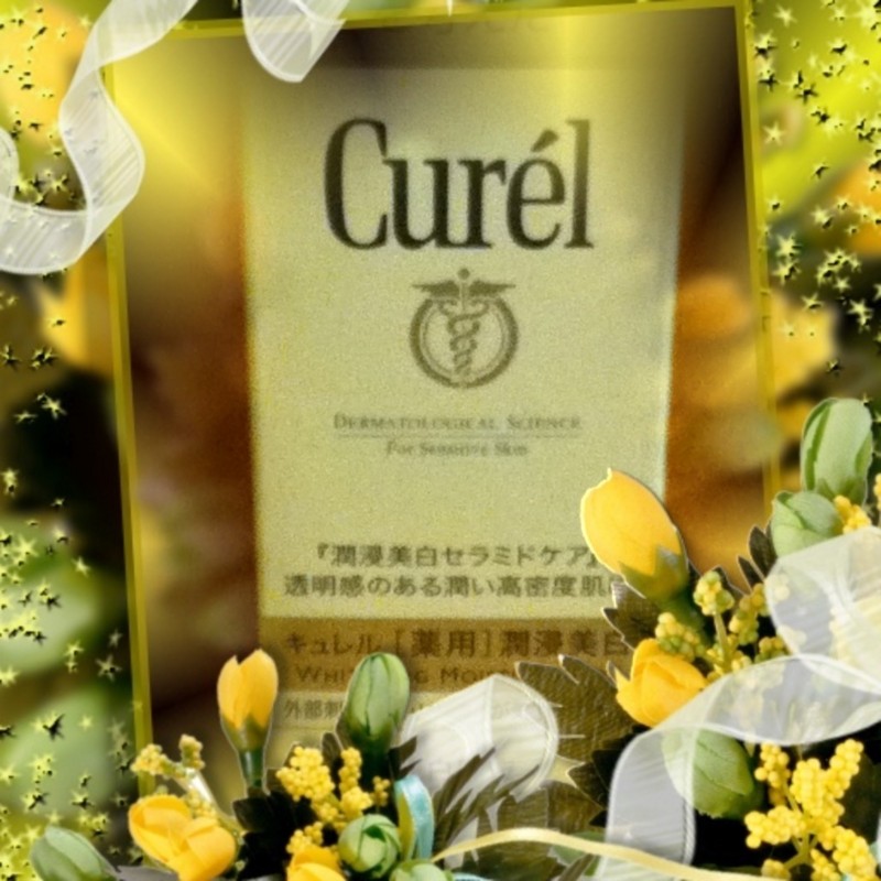 f:id:mynetdiary:20110429204543j:image