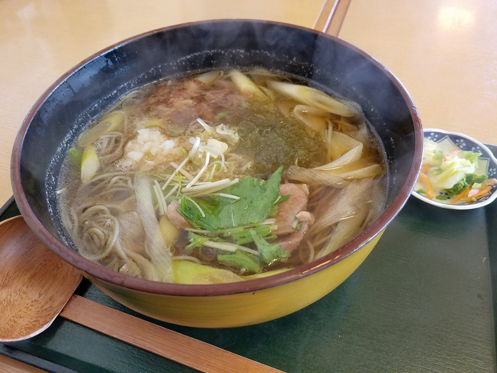f:id:myoko-joetsu-diary:20180413090126j:plain