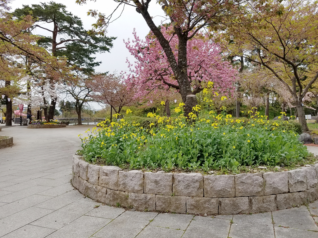 f:id:myoko-joetsu-diary:20180421143705j:plain
