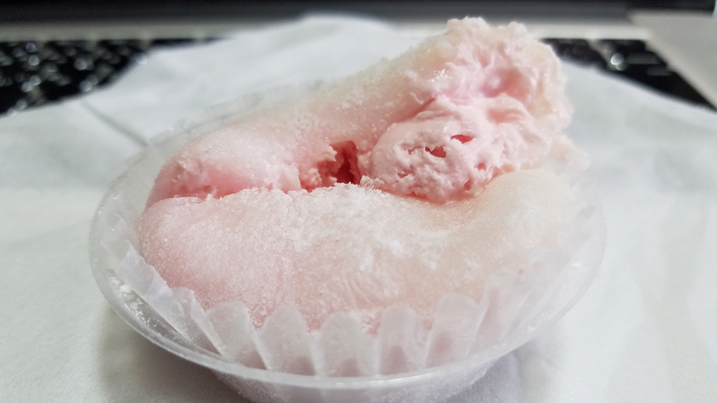 f:id:myoko-joetsu-diary:20180426144844j:plain