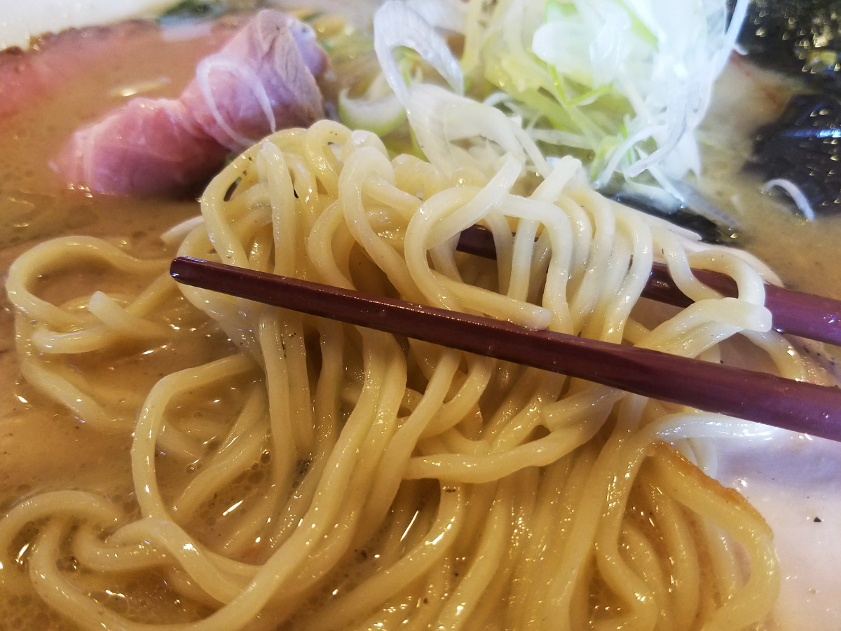 塩白湯（パイタン）麺-麺の太さ