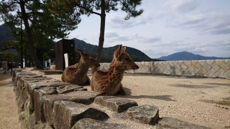 f:id:myoko189:20210530005826j:plain