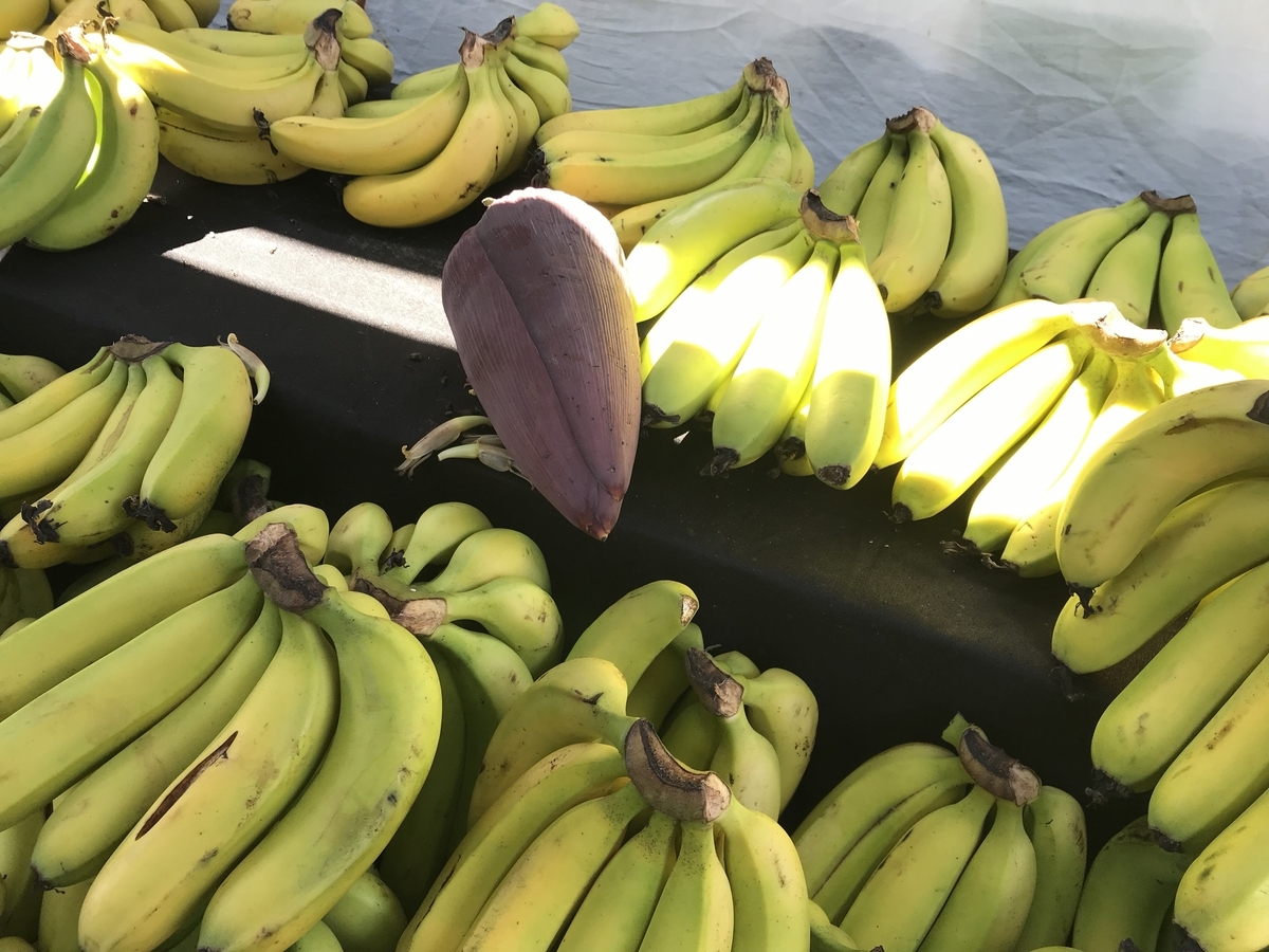 f:id:myorganic:20190323105624j:plain f:id:myorganic:20190323105624j:plain