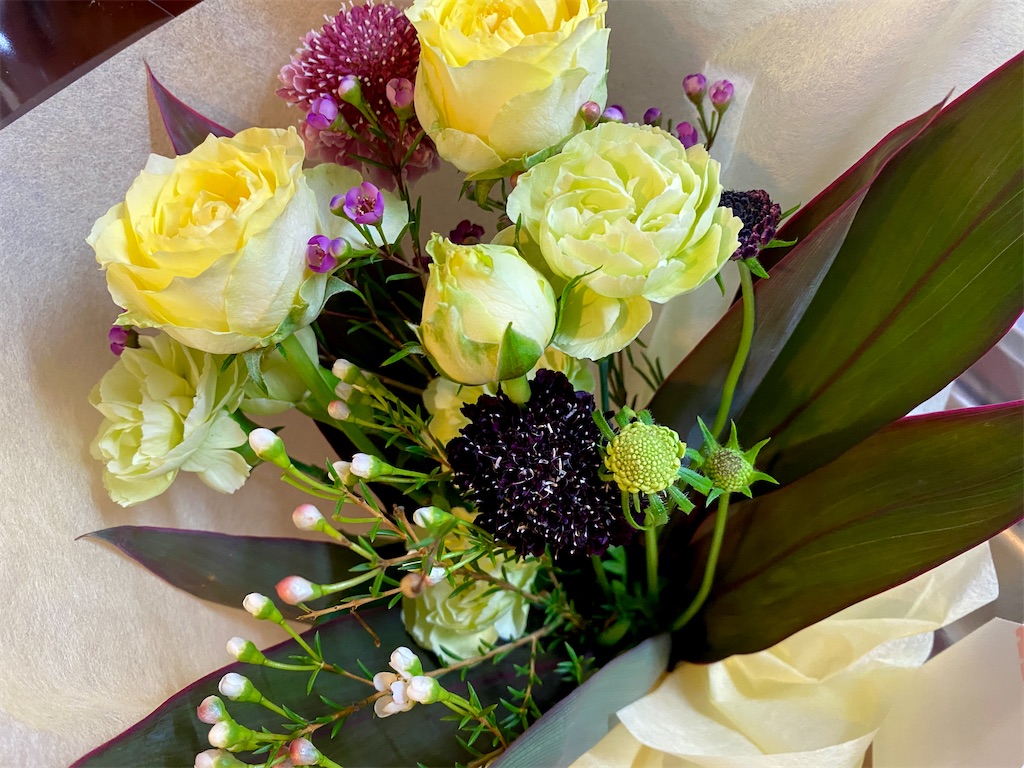 f:id:myorganic:20250526214027j:image