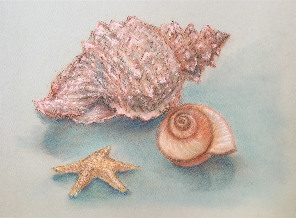 海の宝物 パステル画 絵酔ダイアリー