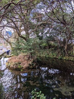 池の川水源 南阿蘇村 癒しの充電 Power Up Myouyu S Blog 池の川水源 南阿蘇村 癒しの充電 Power Up Myouyu S Blog