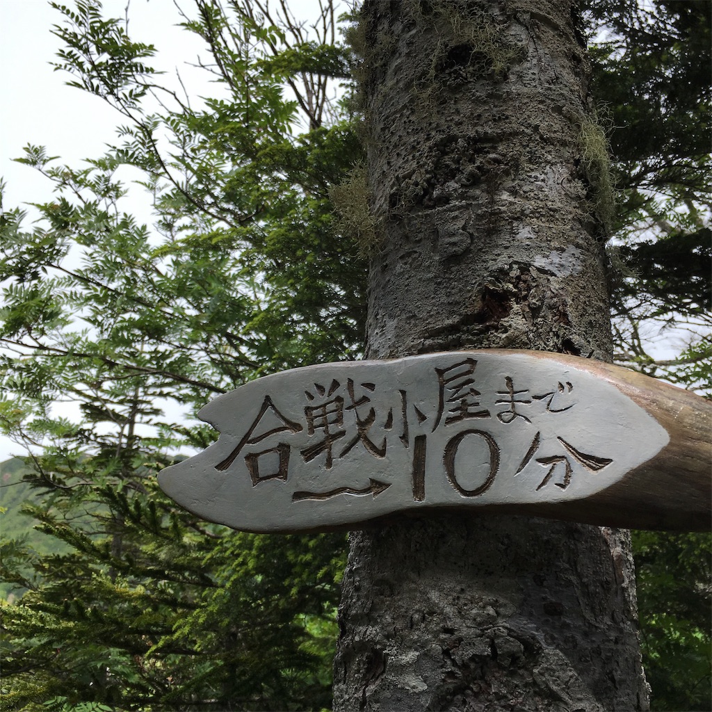 f:id:myownlifetamako:20190522192801j:image f:id:myownlifetamako:20190522192801j:image