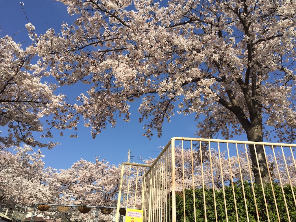 f:id:mypace-chinese:20190409161431j:image f:id:mypace-chinese:20190409161431j:image