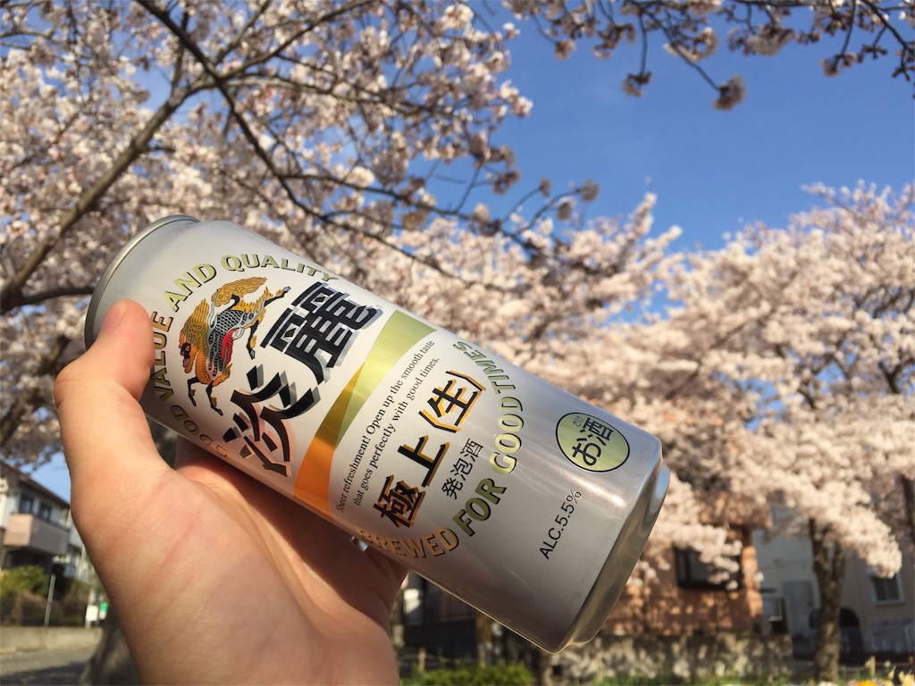 f:id:mypace-chinese:20190409162331j:image f:id:mypace-chinese:20190409162331j:image