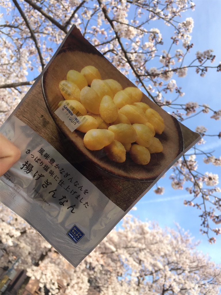 f:id:mypace-chinese:20190409162747j:image f:id:mypace-chinese:20190409162747j:image