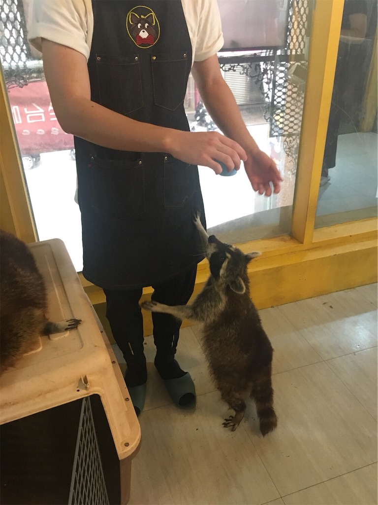 f:id:mypace-chinese:20190711235415j:image f:id:mypace-chinese:20190711235415j:image