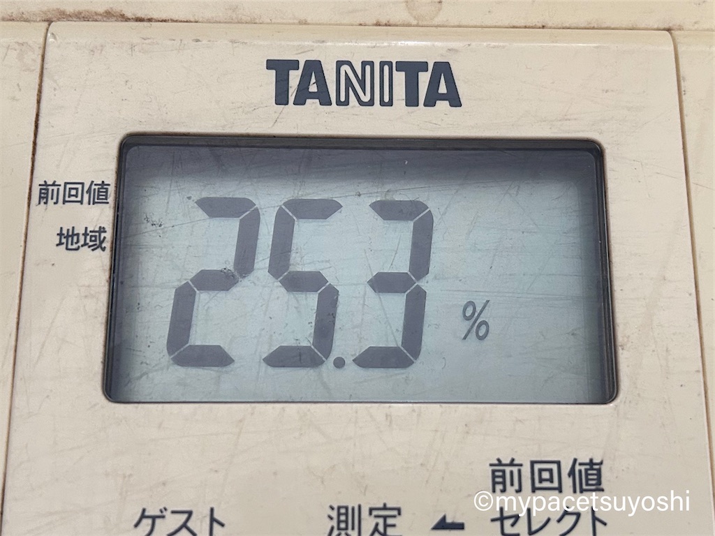 f:id:mypacetsuyoshi:20230703184341j:image