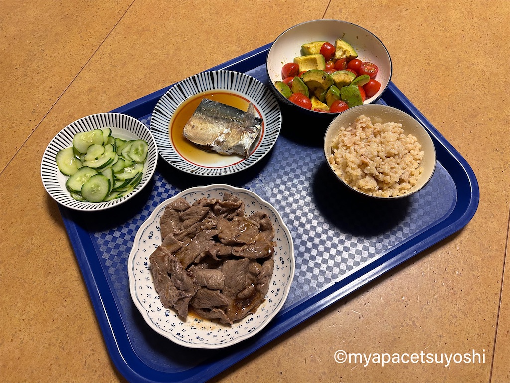 f:id:mypacetsuyoshi:20230703193815j:image