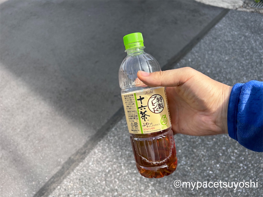 f:id:mypacetsuyoshi:20230708135620j:image