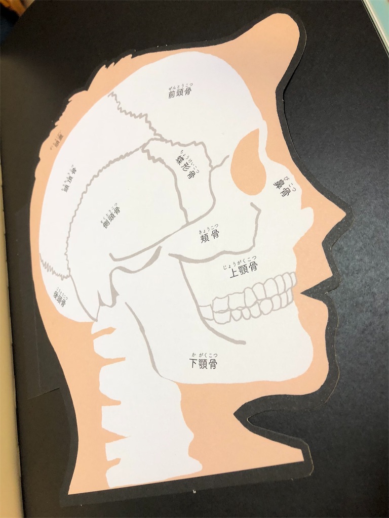 f:id:mypeace:20180308213112j:image f:id:mypeace:20180308213112j:image