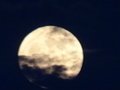 20250711102720