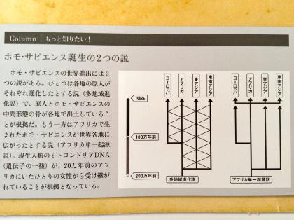 IMG_1194_convert_20120624110351.jpg