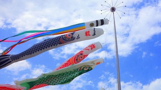 carp-streamer-2419895_640