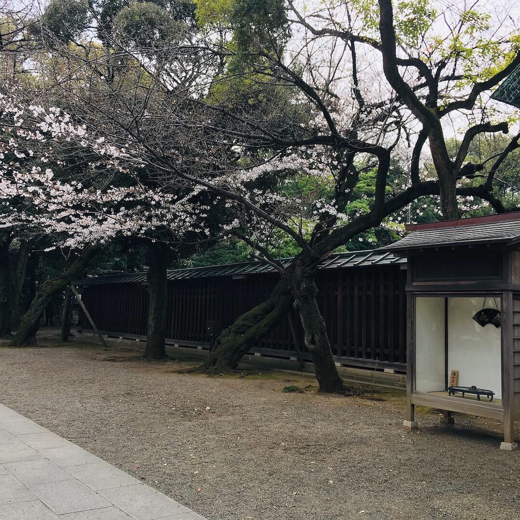 f:id:myrium0125:20190326192141j:image