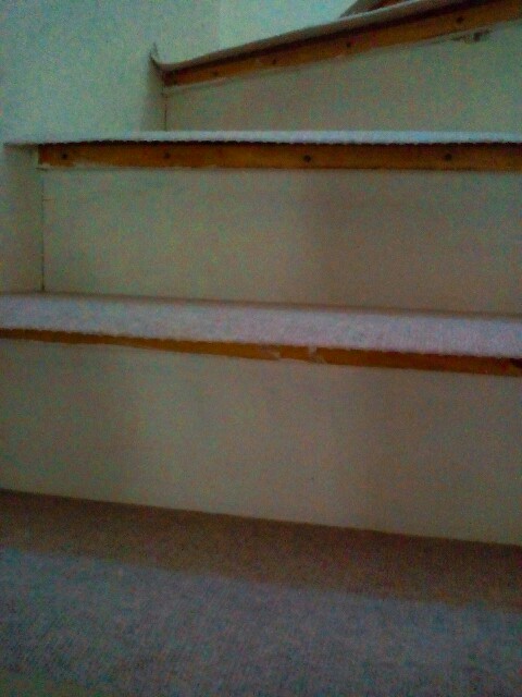 f:id:myrr:20161014234407j:image f:id:myrr:20161014234407j:image