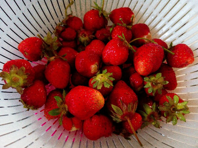 f:id:myrr:20170713173355j:image