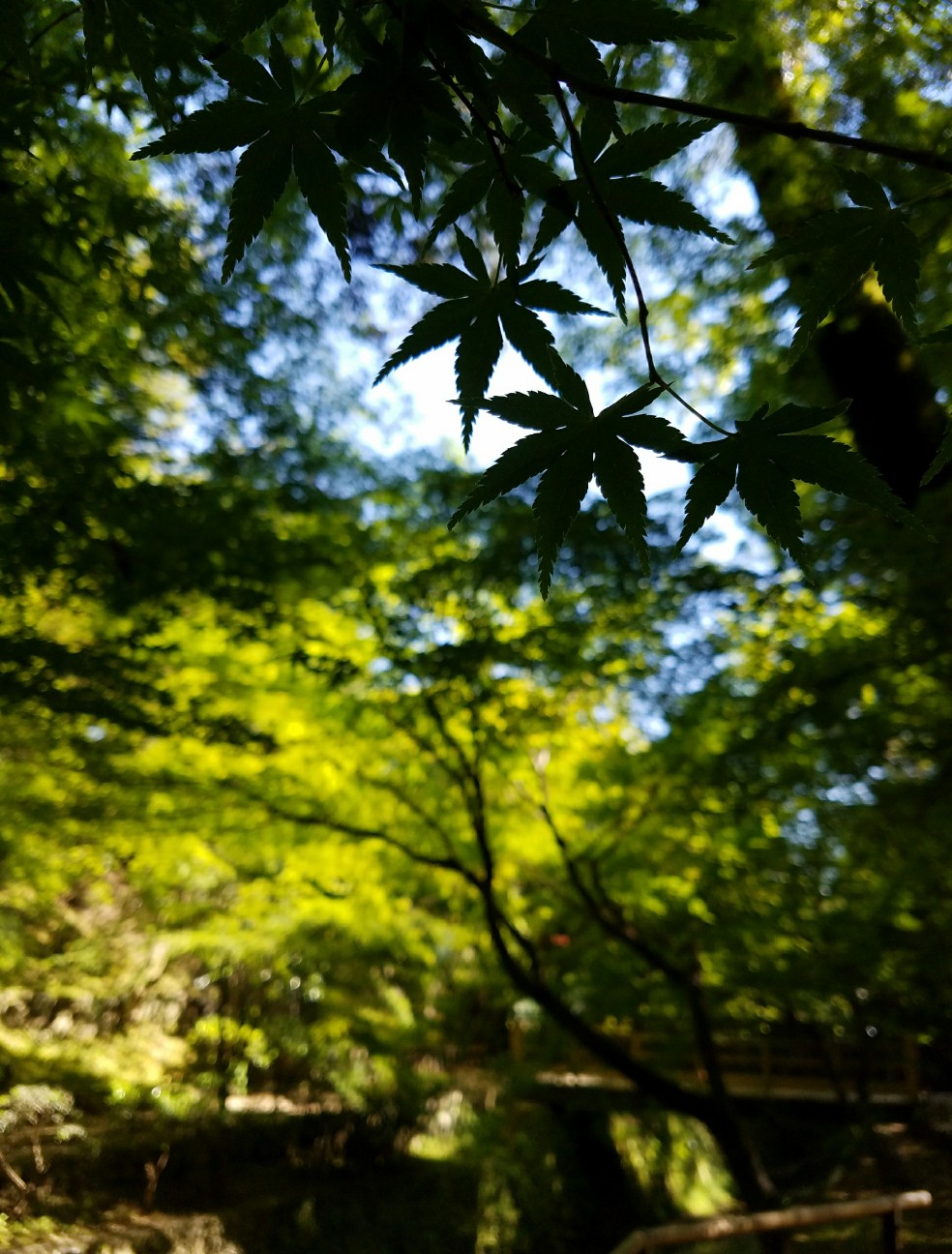 f:id:myrstnh:20170523080251j:image f:id:myrstnh:20170523080251j:image