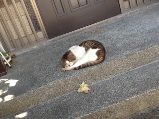 f:id:myrtus77:20120816140317j:image