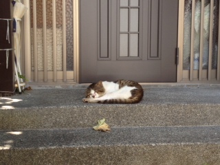 f:id:myrtus77:20120816140318j:image