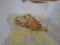 f:id:myrtus77:20150117144913j:image:small f:id:myrtus77:20150117144913j:image:small