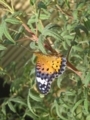 20170919143255