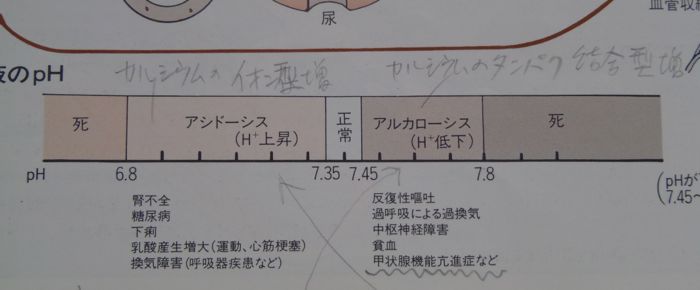 堺章『目でみるからだのメカニズム』（医学書院）より