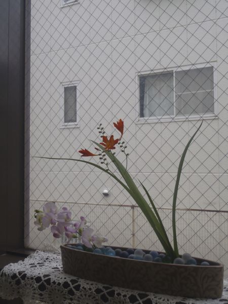 f:id:myrtus77:20190720201637j:plain