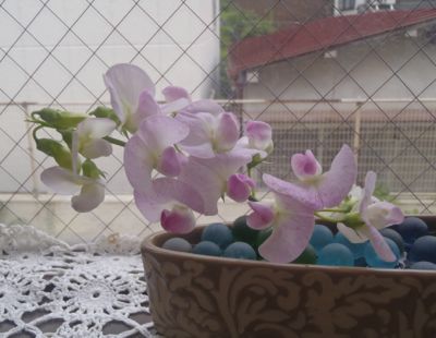 f:id:myrtus77:20190720202156j:plain