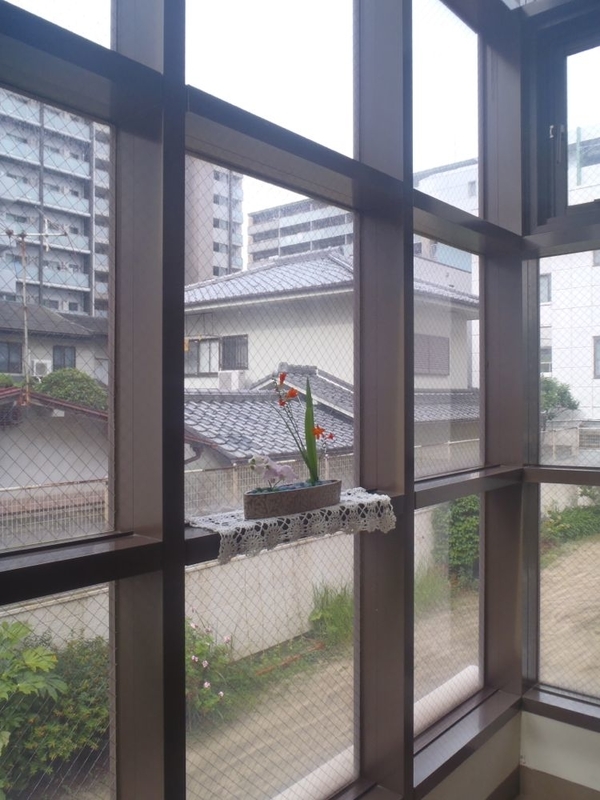 f:id:myrtus77:20190721092831j:plain
