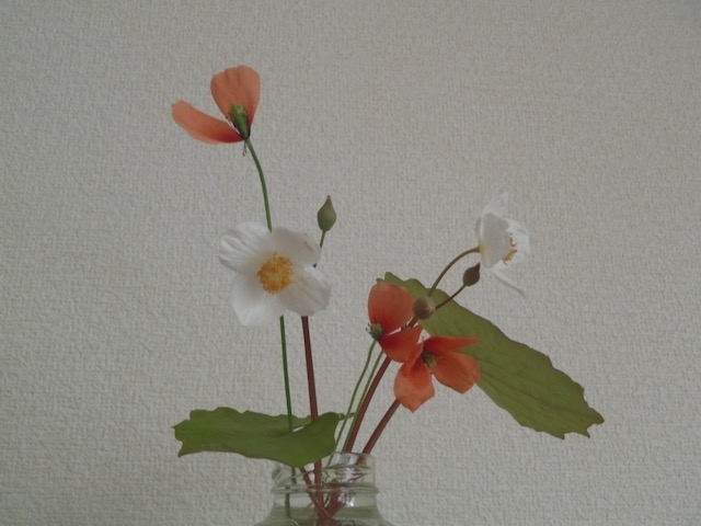 f:id:myrtus77:20200411204020j:plain