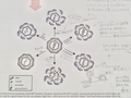 Applied and Environmental Microbiology, 81: 1616-1621 (2015)より引用