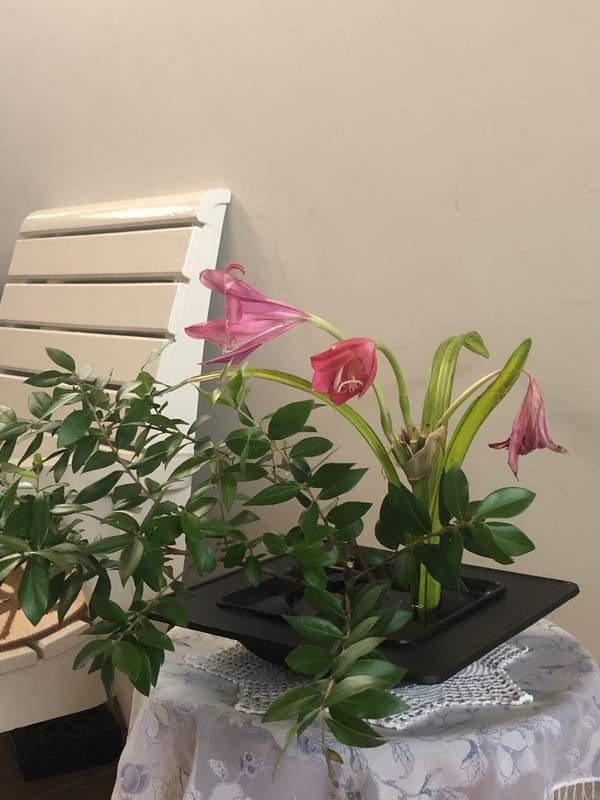 屋内と屋外のどちらでも使用可能なペットベッド 再入荷 K Hペットプロダクツ 屋内外で使用できるクールペットベッド クールベッド3 Sm ブルー 犬用品 アウトドア ドライブ メッシュベッド ひんやりクール Hangon