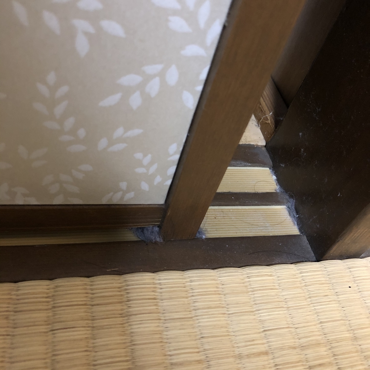 f:id:myself_hana:20201022102207j:plain