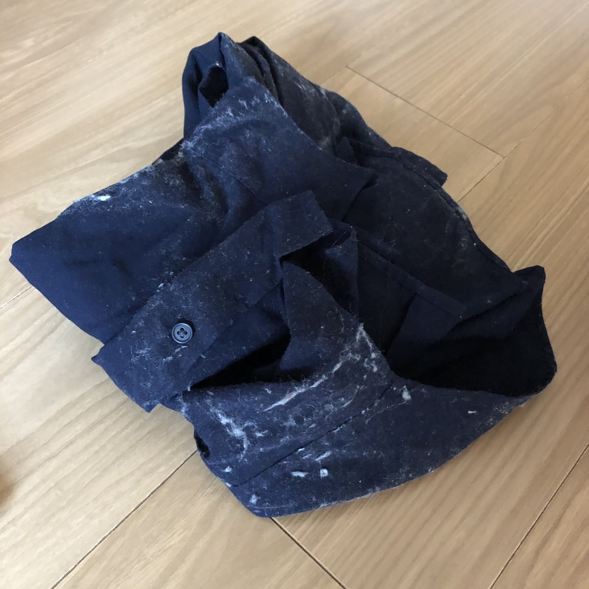 f:id:myself_hana:20201025170339j:plain f:id:myself_hana:20201025170339j:plain