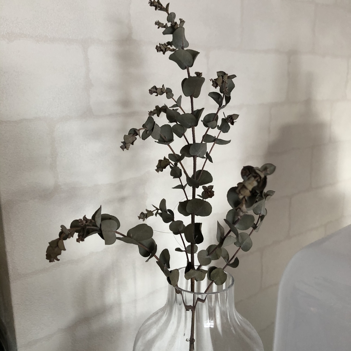 f:id:myself_hana:20210111160620j:plain