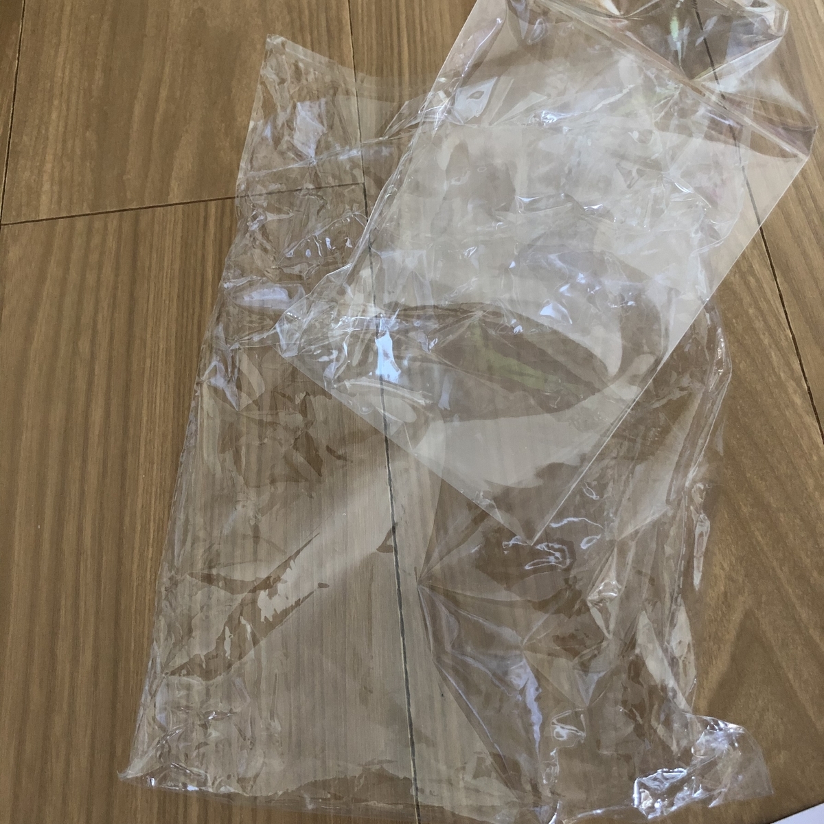 f:id:myself_hana:20210615142346j:plain