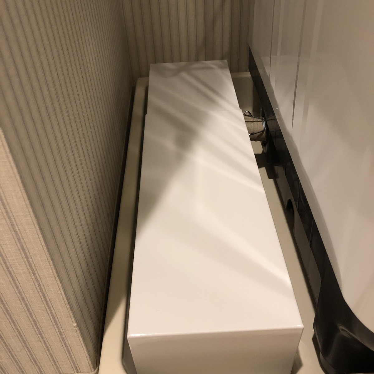 f:id:myself_hana:20210704215513j:plain