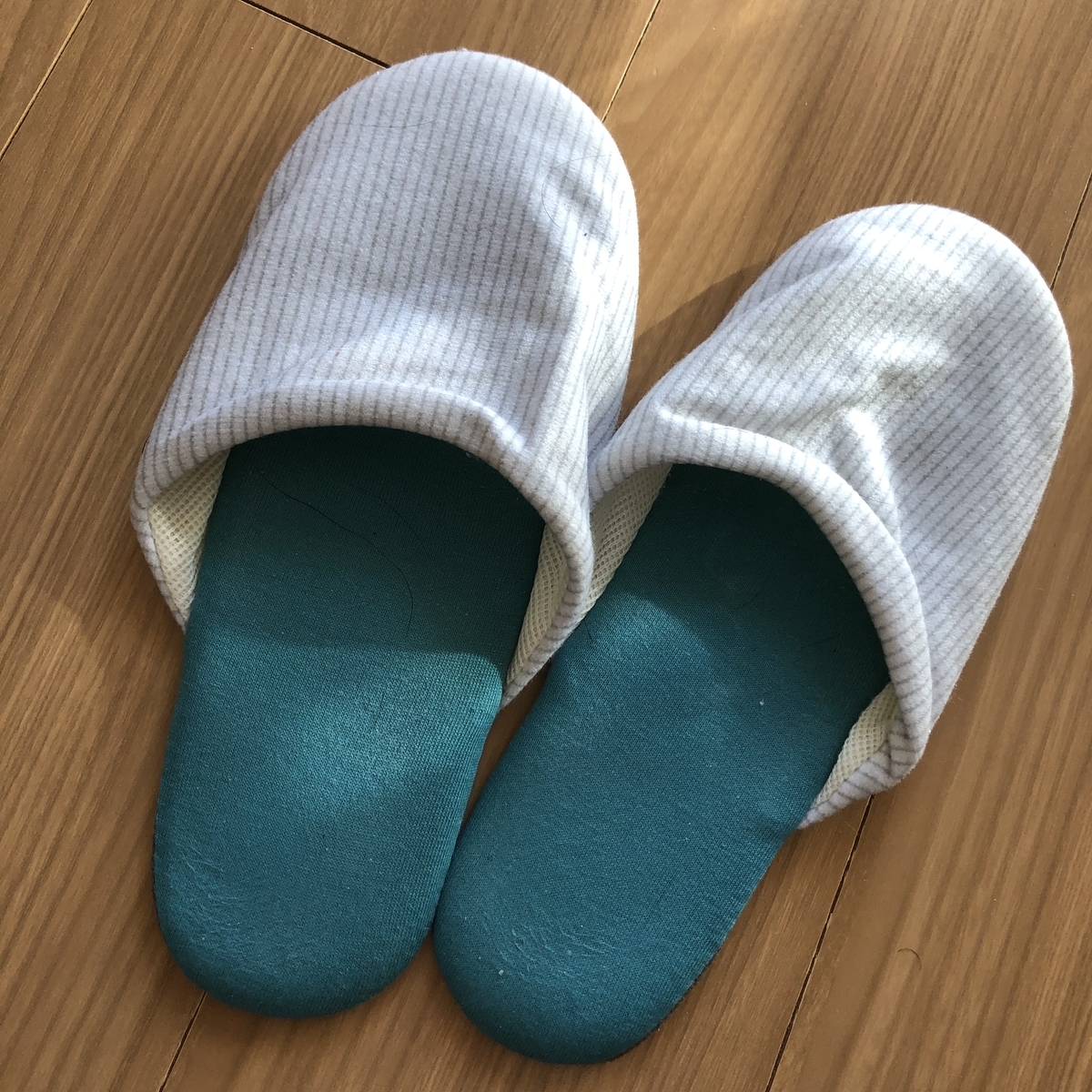 f:id:myself_hana:20211018145703j:plain