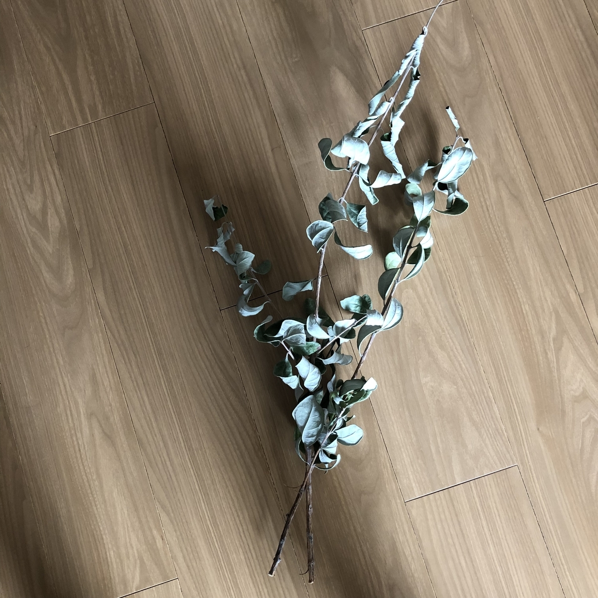 f:id:myself_hana:20220220151003j:plain