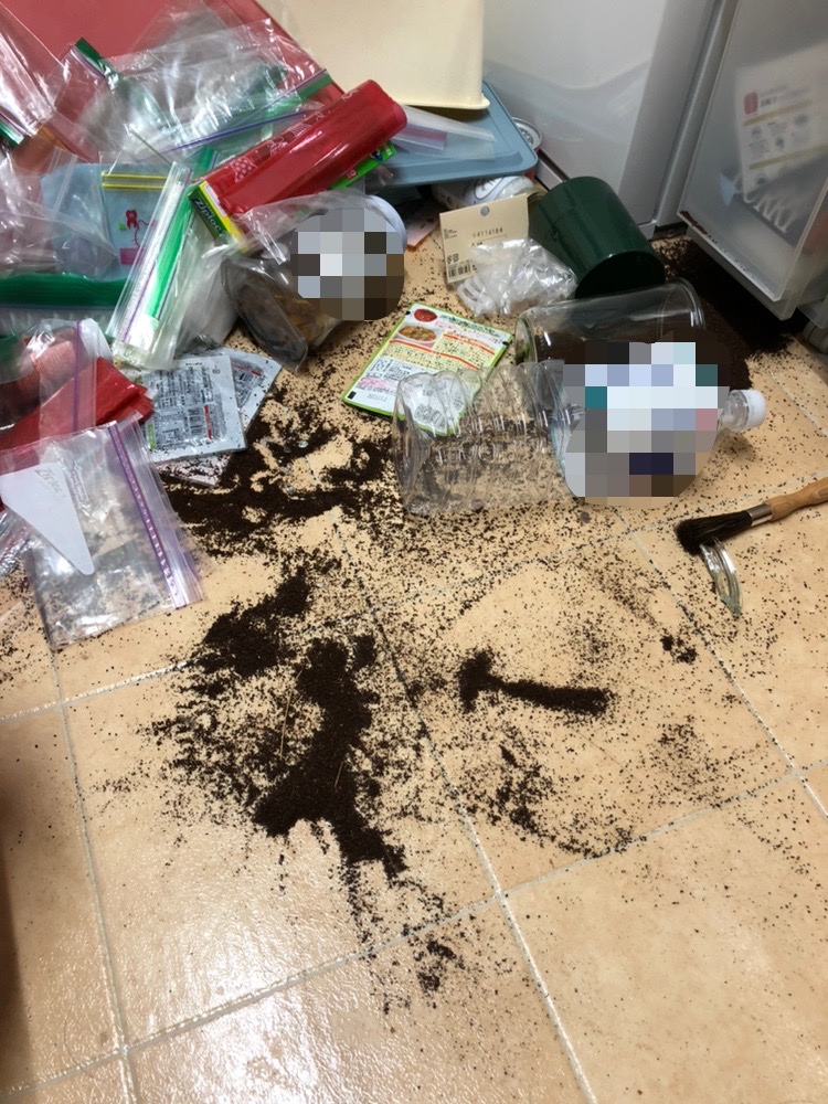 f:id:myself_hana:20220320125927j:plain