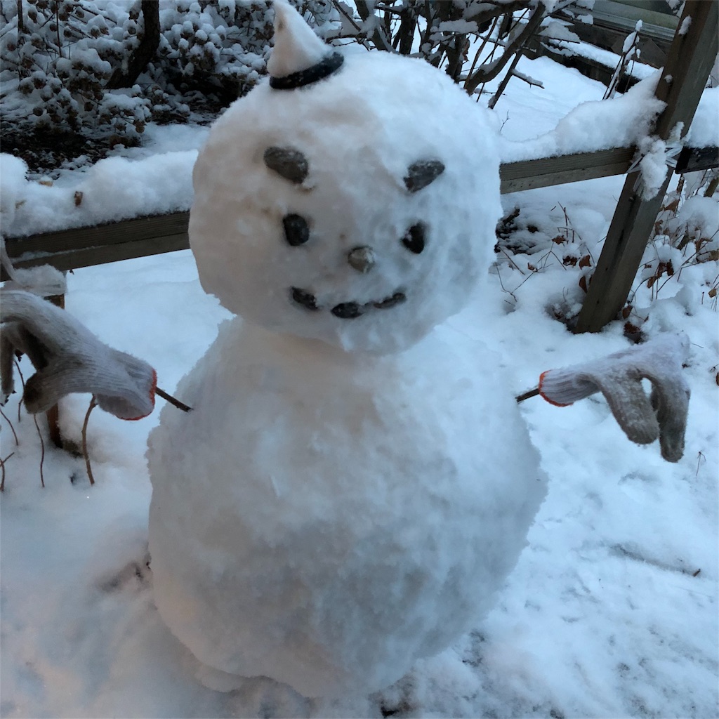 f:id:myspade10:20180201005226j:image