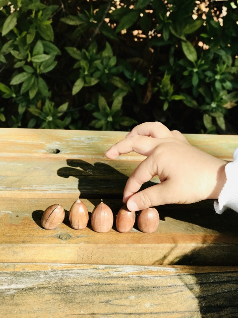 1歳 2歳からはじめよう ボタン練習3つのポイント モンテママのこどもと健康に暮らす