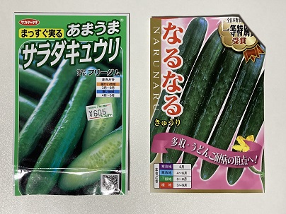 キュウリ水耕栽培はじめます - 気ままに庭で水耕栽培